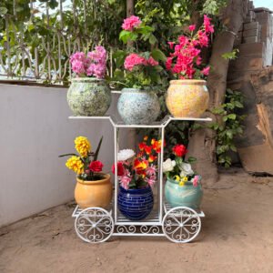 Decorative Trolley Metal Plant Stand for a Beautiful Garden- 6 Pot Stand